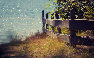 Wooden fence river tree cityscape - evaline ness free wallpaper