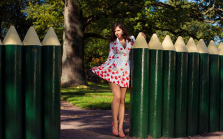 Woman dress fence tree sunny - a white fence free wallpaper