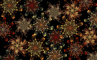 Black flowers generative art fireworks - earnst haeckel free wallpaper