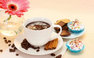 Coffee cookies flower vase water - clara peeters free wallpaper