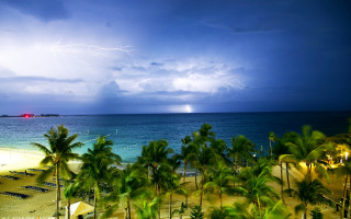 Beach palm trees lightning storm - thunderstorm free wallpaper