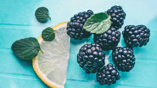 Lemon blackberries blue surface leaves - evaline ness free wallpaper