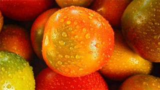 Green apple water droplets fall - a close up of a bunch free wallpaper