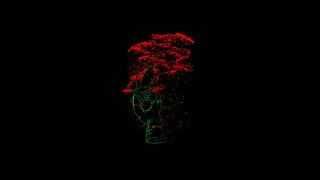 Vase redflowers blackbackground redlight bedwyr - red flower free wallpaper