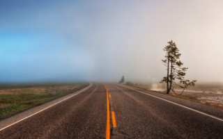 Long road single tree fog - a long road free wallpaper