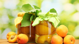 Pickles bow peaches summer vibrant - a bow free wallpaper