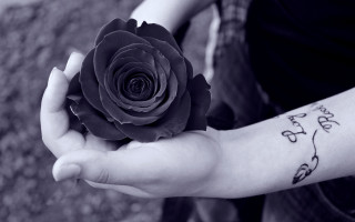 Person flower tattoo roses moon - a person holding free wallpaper