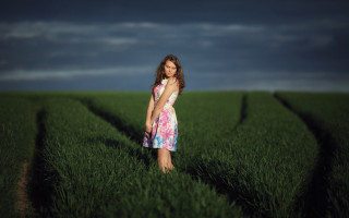 Woman field cloudy sky brown - cloudy free wallpaper