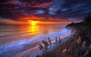 Sunset beach water hill trees - a sunset over a beach free wallpaper