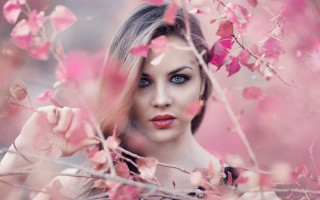 Blue eyes pink flower tree - a pink flower free wallpaper