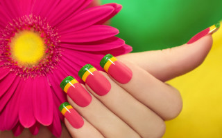 Womans hand pink flower yellow - bright color free wallpaper