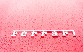 Ferrari hood closeup bernardo cavallino - white letter free wallpaper