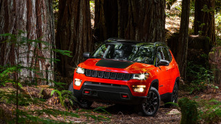 Red jeep forest sunlight detailed - the sunlight free wallpaper