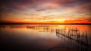 Sunset water poles boats urban - a few boat free wallpaper