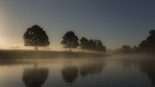 Foggy lake trees bench sunny - christopher wren free wallpaper