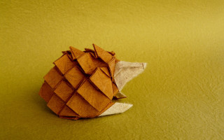 Folded paper knot green surface - a green surface free wallpaper