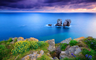 Lake blooming hillside cloudy sky - a hill side free wallpaper