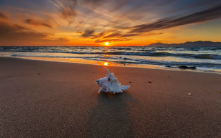 Shell beach sunset clouds gradient - the sun free wallpaper