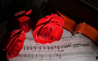 Violin roses sheetmusic romantic stilllife - music free wallpaper