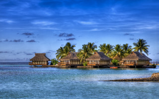 Beach huts ocean palm trees 2 - top of a beach next free wallpaper