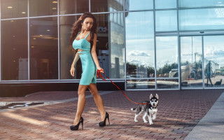 Woman dog cityscape fashion cubo - a large window free wallpaper