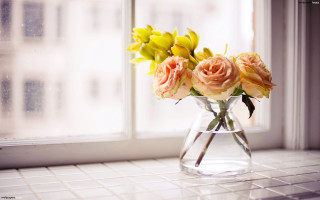 Vase yellow pink flowers window - a window sill free wallpaper