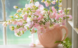Pink vase pink white flowers - soft color free wallpaper