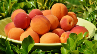 Peach bowl green leaves bush - boetius adamsz bolswert free wallpaper