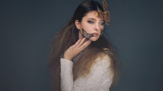 Woman butterfly face head fashion - her face free wallpaper for desktop
