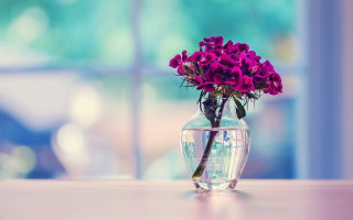 Vase purple flowers table window 3 - a vase free wallpaper