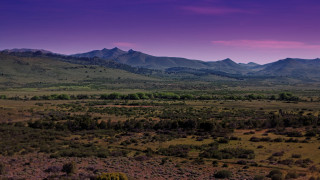 Mountain forest panoramic purple sky - a purple sky in the background free wallpaper