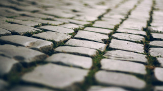 Stone pavement grass tilt shift - flavia bloi free wallpaper