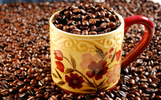 Coffee beans morning photorealism blurry - coffee bean free wallpaper