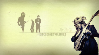 Man beard guitar coat shadow - a long beard free wallpaper