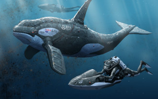 Man jet whale ocean scuba - conceptart free wallpaper