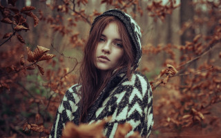 Woman sweater forest autumn butterfly - the ground and a tree in the background free wallpaper