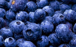 Blueberries water droplets yellow eye - water droplet free wallpaper