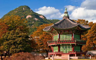 Green red building forest mountain - building free wallpaper