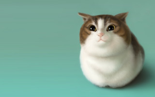Surprised cat blue green background - ultra realistic digital art free wallpaper