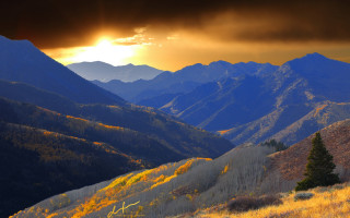 Mountain sunset trees autumn city - a few yellow leaf free wallpaper