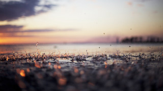 Sunset water drops trees bokeh - a picture of a sunset free wallpaper