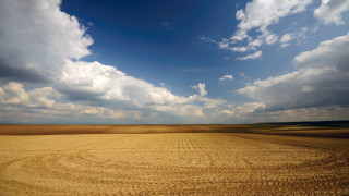Field dirtroad clouds blue sky - a large field free wallpaper