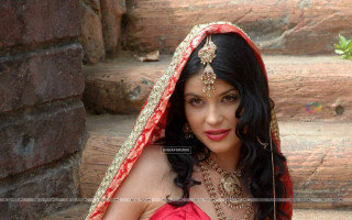 Woman red gold outfit pose 2 - an oil free wallpaper