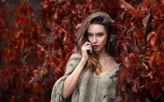 Woman autumn leaves cellphone purse - a purse free wallpaper