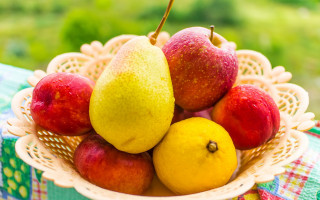 Bowl of fruit outdoor green - a green grass area free wallpaper