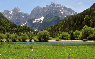 Mountain river meadow wildflowers blue - alen divi free wallpaper