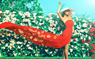 Red dress hat dancing bush - white flower free wallpaper