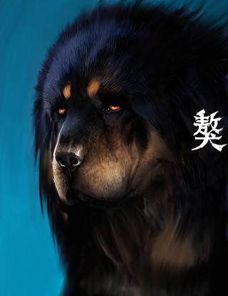 Black dog chinese writing blue - a black dog free wallpaper