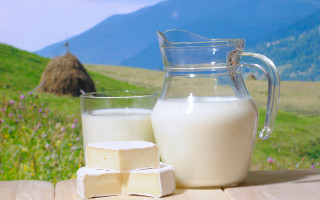 Milk glass bottle outdoor field - outside free wallpaper