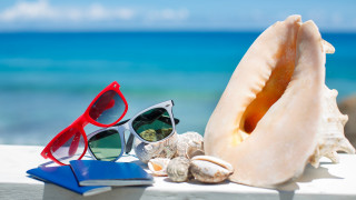 Sunglasses book ocean ledge shell - sunglass free wallpaper